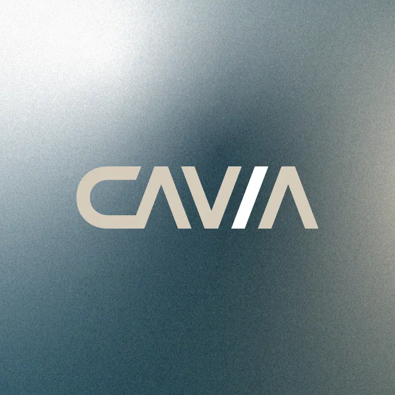 Cavia - Transformando negocios